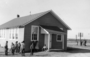 The Hamilton School 1955